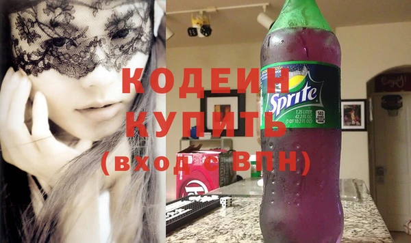 индика Протвино